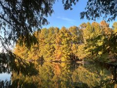 -上海海湾国家森林公园