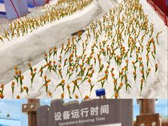 -广州热雪奇迹