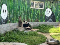 -南昌动物园