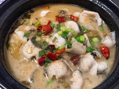 酸菜黑鱼煲-阿隆煲店(秀仁苑店)