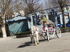 -辛玛王国游乐园