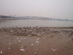 DSC02085-栈桥景区