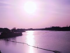 -贡湖湾湿地公园