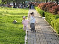 -洨河生态公园
