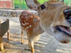 -西部长青自然儿童乐园