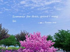 -古柏渡丰乐樱花园