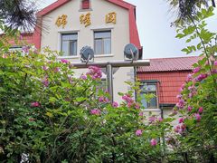 -八大关景区