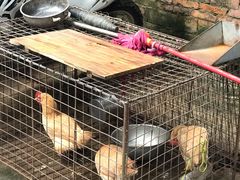 -八仔大富楼·河鲜(西江店)