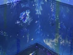 -中国湿地博物馆