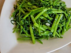 -华盛丰温州大排档(东三环南路店)