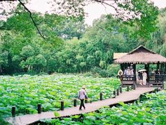 -兰亭风景区