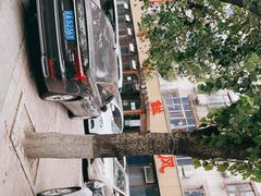 -掌上鲜(南顺城街店)
