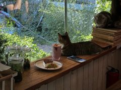 -海边的猫和咖啡馆