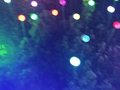 -昆山城市生态森林公园