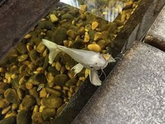 -颐和•海鲜砂锅粥•啫啫煲(奥林匹克广场店)