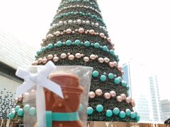 -Tiffany & Co.蒂芙尼
(南京德基广场店)