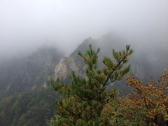 iphone_upload_pic-王顺山国家森林公园
