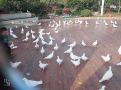 -南昌之星游乐场