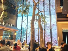 -桂满陇·海市蜃楼·黑金(国金店)