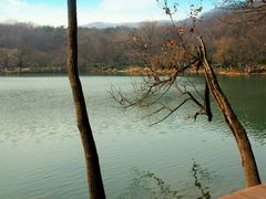 -紫霞湖公园