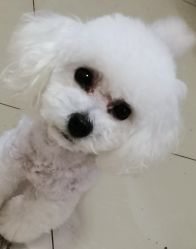 -煊私人定制美发会所