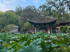 -莲湖公园