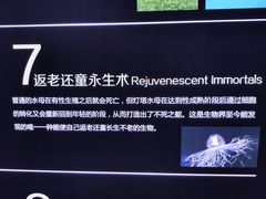 -石家庄海洋公园