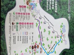-野象谷景区