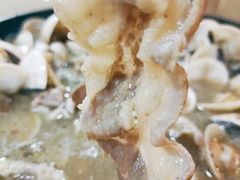 -顺德哥卜卜贝(旗舰店)