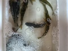 -涵家味土菜馆·徽州一绝臭鳜鱼(三河古镇店)