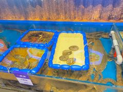 -开海·红岛海鲜虾水饺(石老人店)