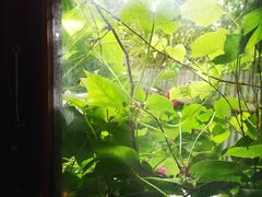 -斯多格书乡(北京大学畅春园店)