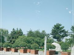 -洨河生态公园