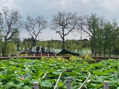 -长洲岛
