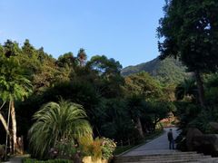 -深圳仙湖植物园