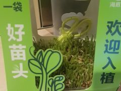 -逗号立方