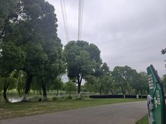 -九里河湿地公园