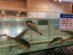 -大方圆酒楼(西门大街店)