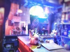 星宿秘码咖啡小酒馆(星宿秘码)-星宿秘码(鼓浪屿老店)