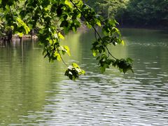 -青龙山国家森林公园