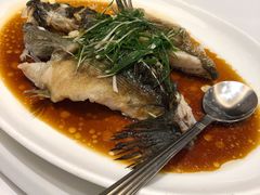 清蒸笋壳鱼-海逸海鲜酒家(古北店)
