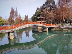 -温江公园