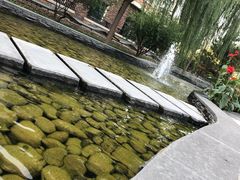 -南宫温泉水世界