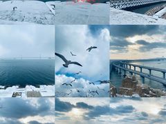 -星海湾跨海大桥