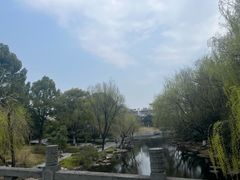 -日出青木
