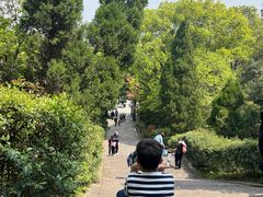 -峙山公园
