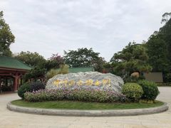 -顺峰山公园