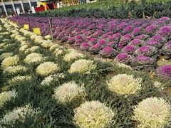 -中国天府农业博览园