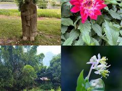 -白鹭湾湿地公园