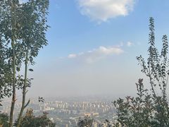 -杭州半山国家森林公园